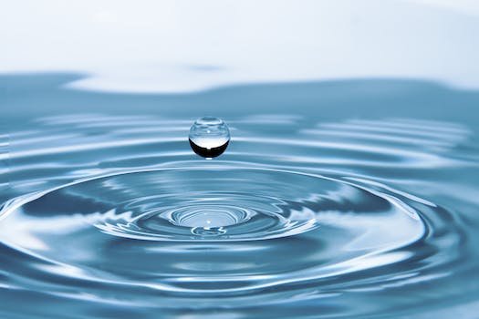 Les différents modèles de purificateurs d'eau